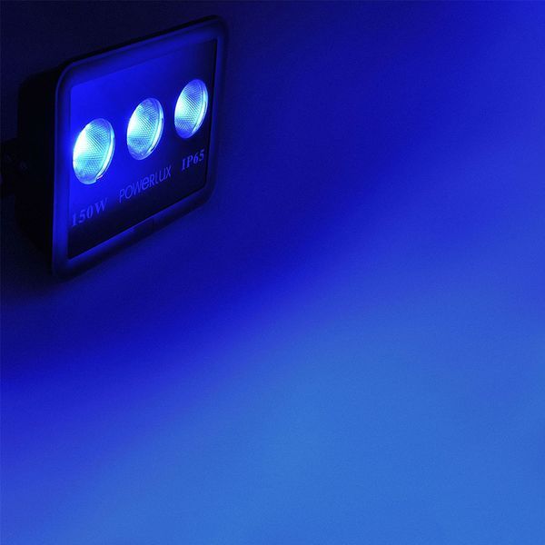 Прожектор світлодіодний PWL 300W IP65-COLOR PW36571 фото