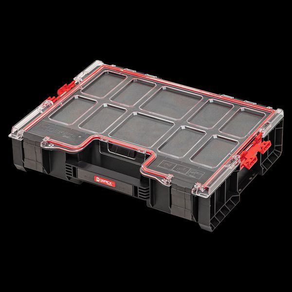 ORGQPRO300FCZAPG003 фото